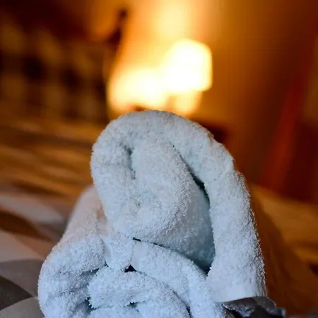 Dans Les Champs Sauzé-Vaussais